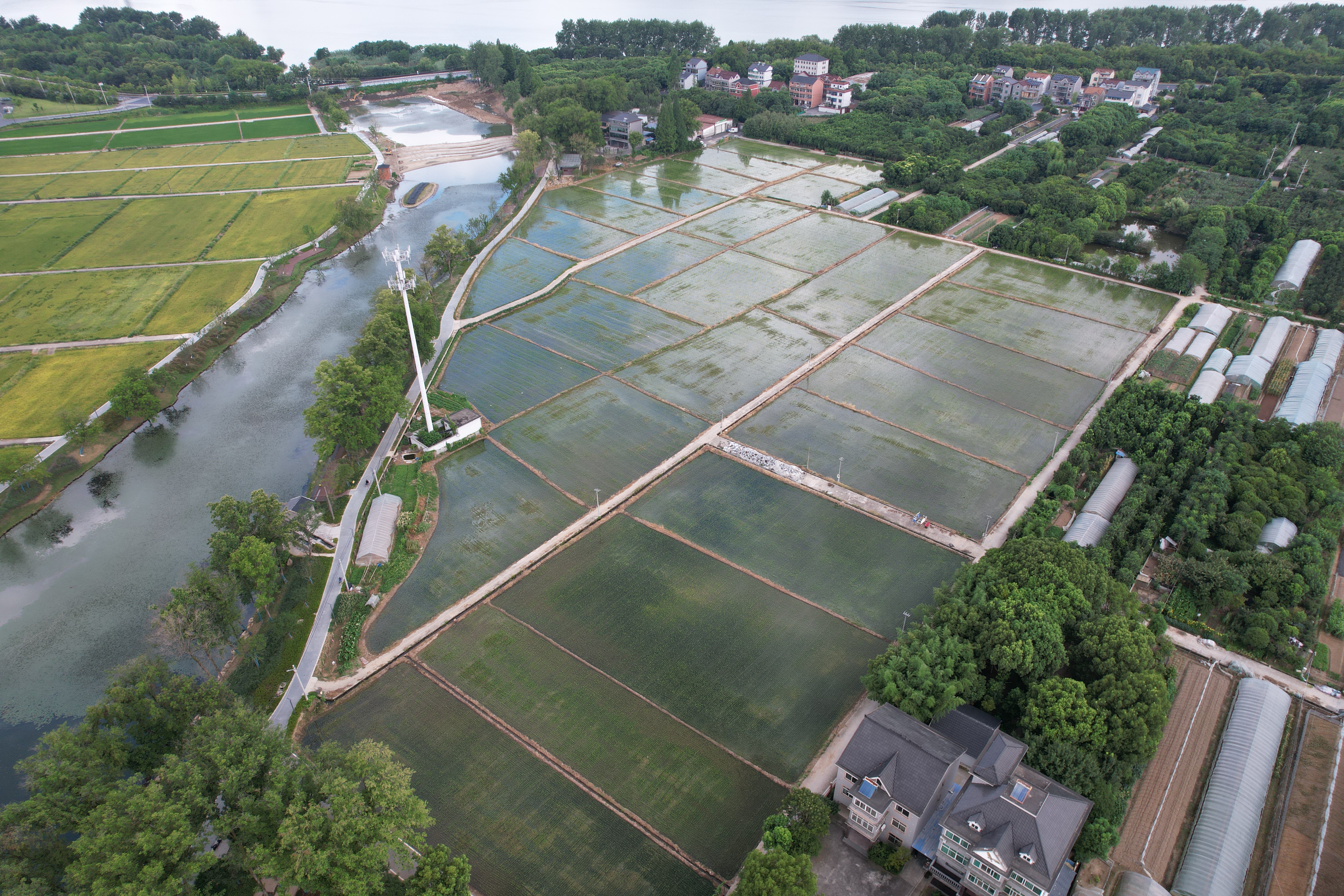生产基地